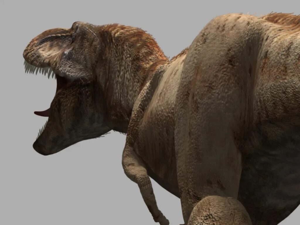 B · A species not in the catalogue