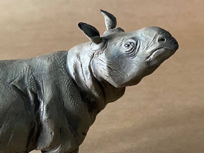 Hornless Rhinoceros (Aceratherium incisivum), 1:20 scale hand-painted resin replica by J. Miguel Aparicio