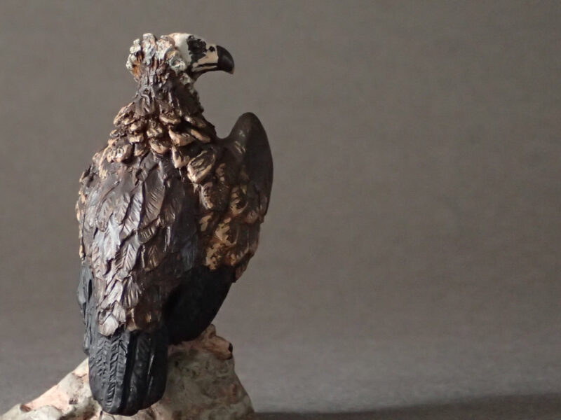 Cinereous Vulture (Aegypius monachus), 1:20 scale hand-painted resin replica by J. Miguel Aparicio