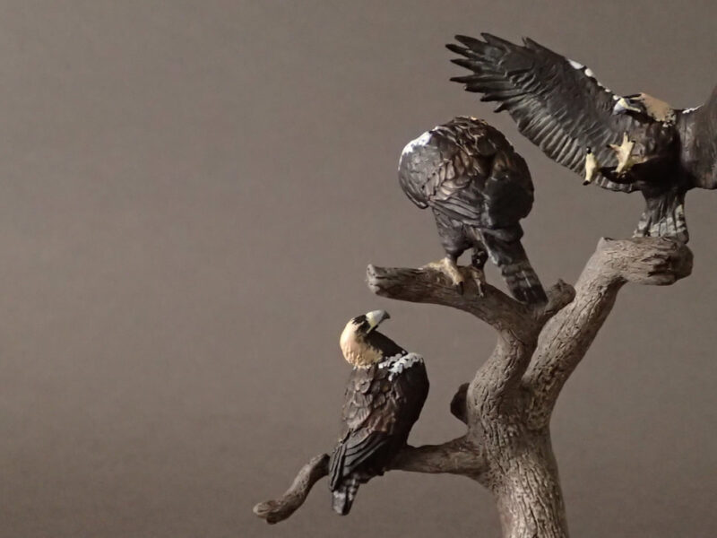 Iberian Imperial Eagle (Aquila adalberti), 1:20 scale hand-painted resin replica by J. Miguel Aparicio