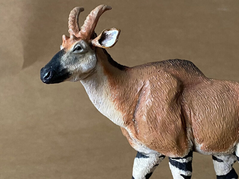 Four-horned Giraffid (Decennatherium rex), 1:20 scale hand-painted resin replica by J. Miguel Aparicio