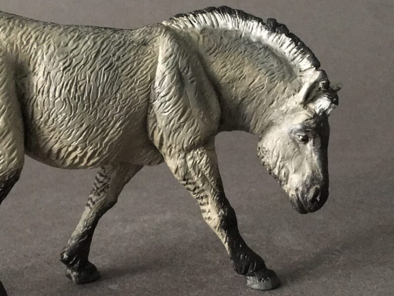 Tarpan, male (Equus ferus), 1:20 scale hand-painted resin replica by J. Miguel Aparicio