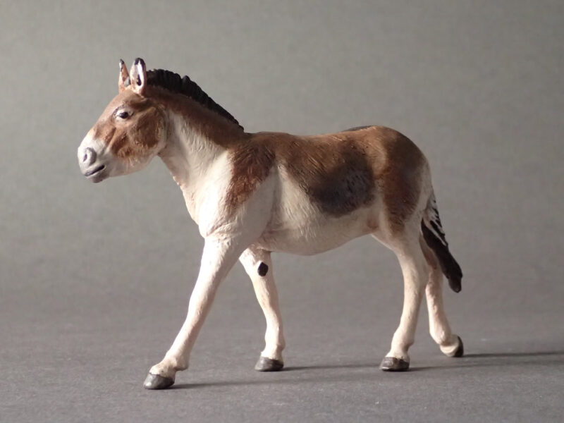 Kiang, female (Equus kiang), 1:20 scale hand-painted resin replica by J. Miguel Aparicio