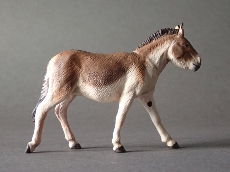 Kiang, male (Equus kiang), 1:20 scale hand-painted resin replica by J. Miguel Aparicio