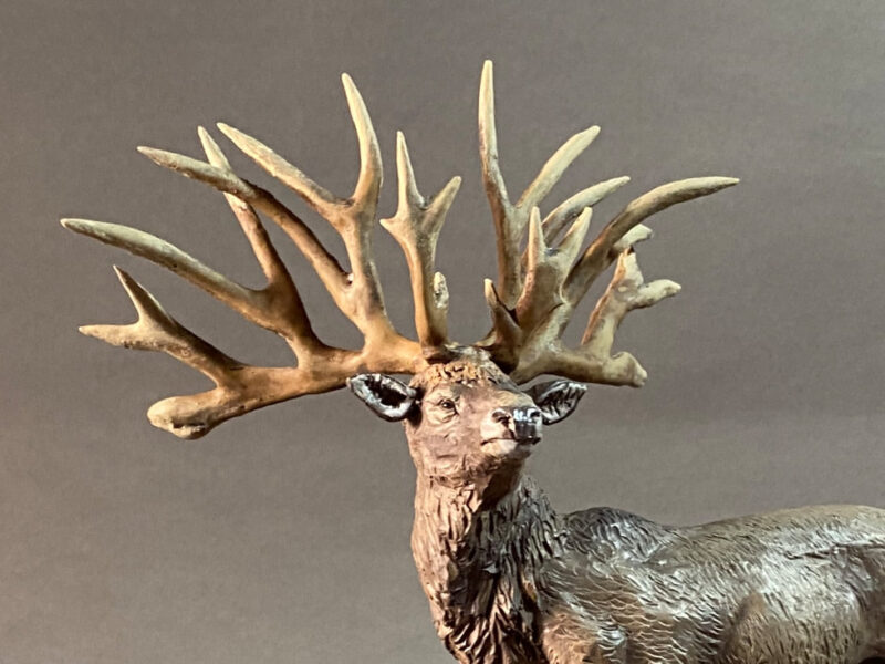 Bush-antlered Deer (Eucladoceros dicranios), 1:20 scale hand-painted resin replica by J. Miguel Aparicio
