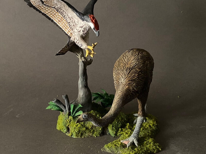 Haast's Eagle and Moa Scene (Hieraaetus moorei & Dinornis robustus), 1:20 scale hand-painted resin replica by J. Miguel Aparicio