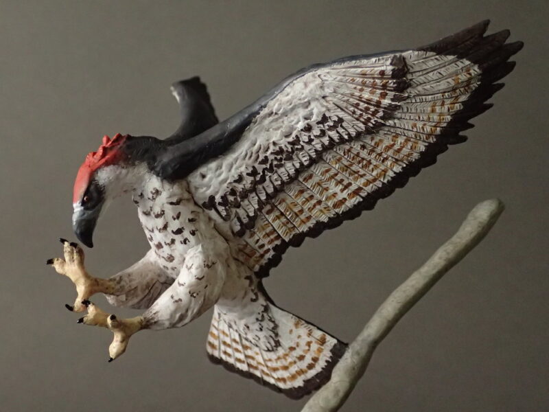 Haast's Eagle (Hieraaetus moorei), 1:20 scale hand-painted resin replica by J. Miguel Aparicio