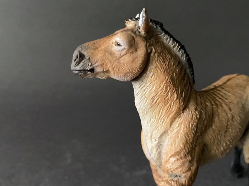 Three-toed Horse (Hipparion primigenium), 1:20 scale hand-painted resin replica by J. Miguel Aparicio