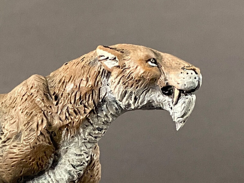 Scimitar-toothed Cat (Homotherium latidens), 1:20 scale hand-painted resin replica by J. Miguel Aparicio