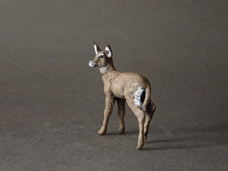 Defassa Waterbuck, calf (Kobus ellipsiprymnus defassa), 1:20 scale hand-painted resin replica by J. Miguel Aparicio