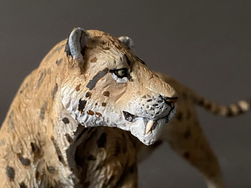 Machairodus (Machairodus aphanistus), 1:20 scale hand-painted resin replica by J. Miguel Aparicio