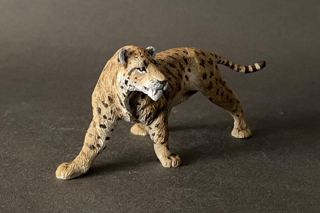 Machairodus (Machairodus aphanistus), 1:20 scale hand-painted resin replica by J. Miguel Aparicio — view 2