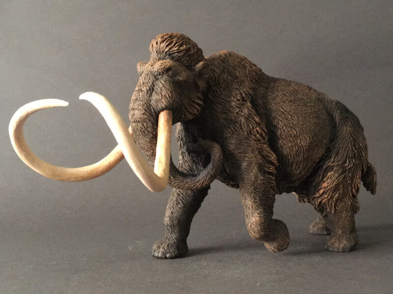 Woolly Mammoth, male (Mammuthus primigenius), 1:20 scale hand-painted resin replica by J. Miguel Aparicio