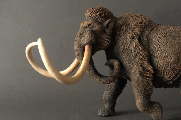 Woolly Mammoth, male (Mammuthus primigenius), 1:20 scale hand-painted resin replica by J. Miguel Aparicio — view 2