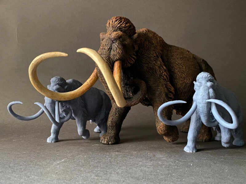 Woolly Mammoth (Mammuthus primigenius), 1:35 scale 3D-printed resin figure by J. Miguel Aparicio, supplied unpainted