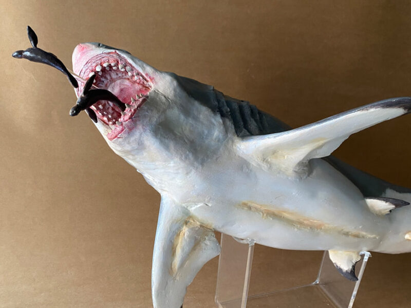 Megalodon Scene, large (Otodus megalodon), 1:20 scale hand-painted resin replica by J. Miguel Aparicio