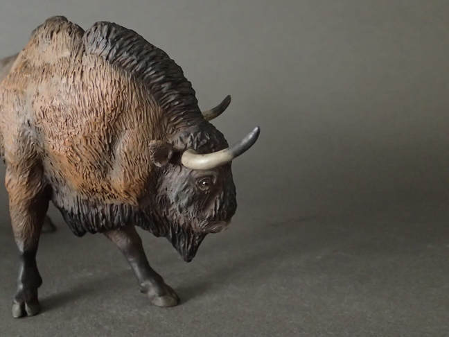 J. Miguel Aparicio — Sculptor of Animal Replicas | Signatu Studio