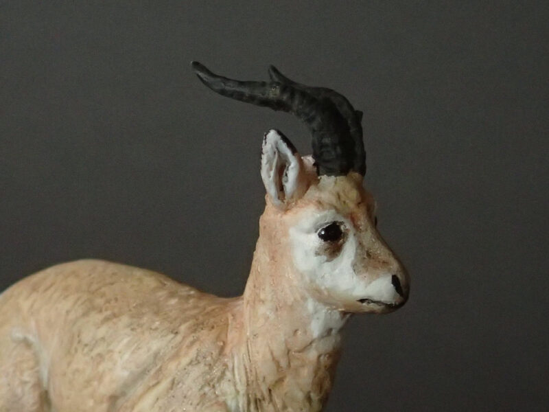 Przewalski's Gazelle (Procapra przewalskii), 1:20 scale hand-painted resin replica by J. Miguel Aparicio