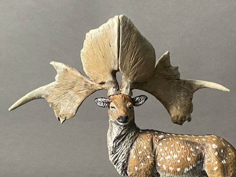 Chinese Giant Deer (Sinomegaceros pachyosteus), 1:20 scale hand-painted resin replica by J. Miguel Aparicio