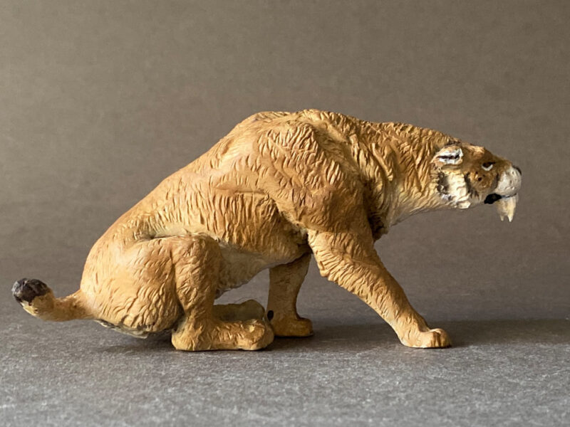 Saber-toothed Cat, male (Smilodon fatalis), 1:20 scale hand-painted resin replica by J. Miguel Aparicio