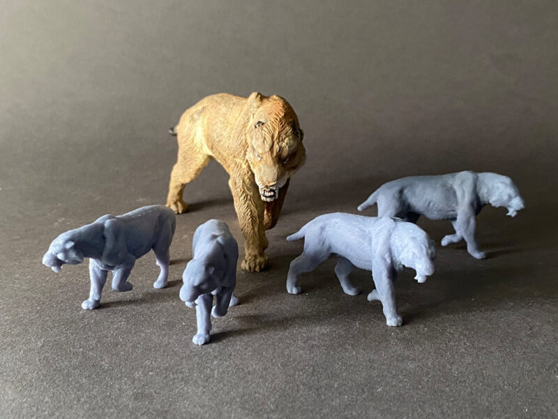 Saber-toothed Cat (Smilodon populator), 1:35 scale 3D-printed resin figure by J. Miguel Aparicio, supplied unpainted