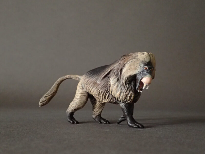 Gelada, male (Theropithecus gelada), 1:20 scale hand-painted resin replica by J. Miguel Aparicio
