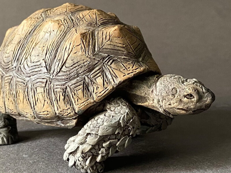 Giant Tortoise (Titanochelon bolivari), 1:20 scale hand-painted resin replica by J. Miguel Aparicio