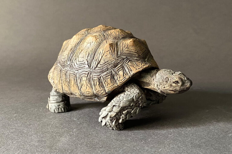 Giant Tortoise (Titanochelon bolivari), 1:20 scale hand-painted resin replica by J. Miguel Aparicio — view 6