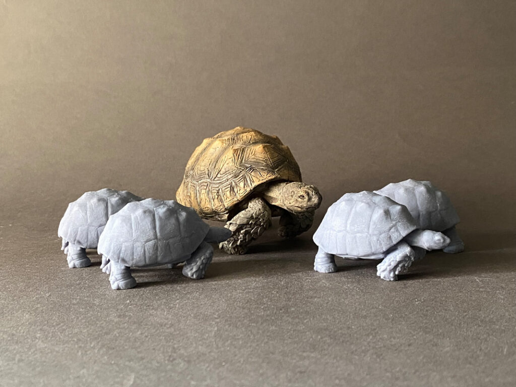 Giant Tortoise (Titanochelon bolivari), 1:35 scale 3D-printed resin figure by J. Miguel Aparicio, supplied unpainted