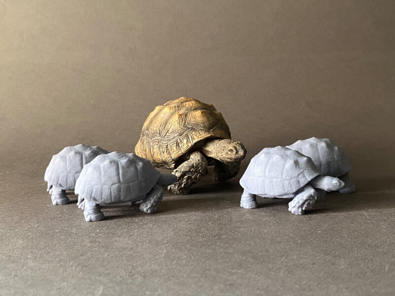 Giant Tortoise (Titanochelon bolivari), 1:35 scale 3D-printed resin figure by J. Miguel Aparicio, supplied unpainted